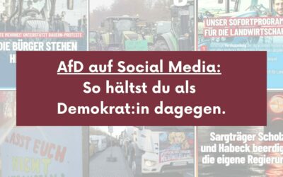 Die AfD und ihre Macht in den sozialen Medien: Strategien im Superwahljahr 2024